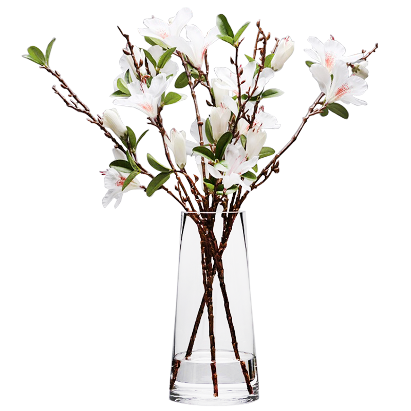 盛世泰堡玻璃花瓶：透明水养植物插花瓶价格走势及销量评测