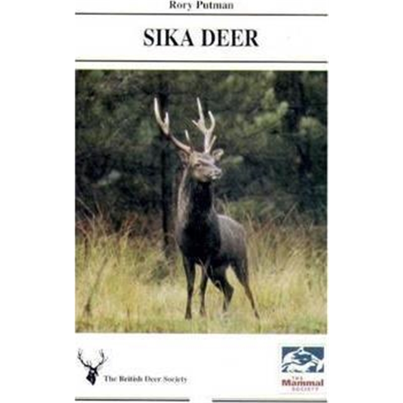 预订sika deer