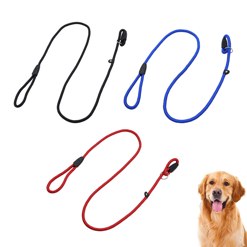 中小型宠物用品狗狗牵引带P绳宠物狗绳P链宠物用品优质尼龙 蓝色 0.6*130cm