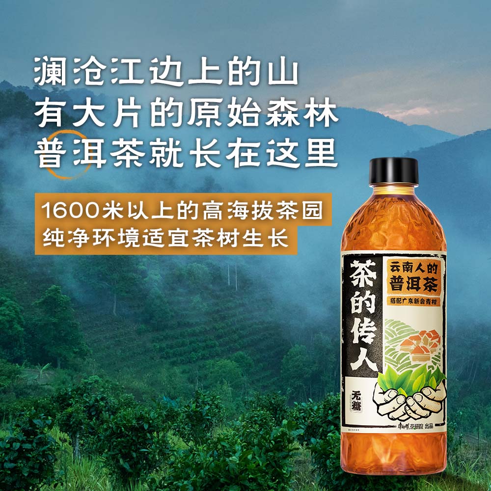 康师傅茶的传人 青柑普洱 铁观音 无糖茶饮料 云南人的青柑普洱 500ml*15瓶