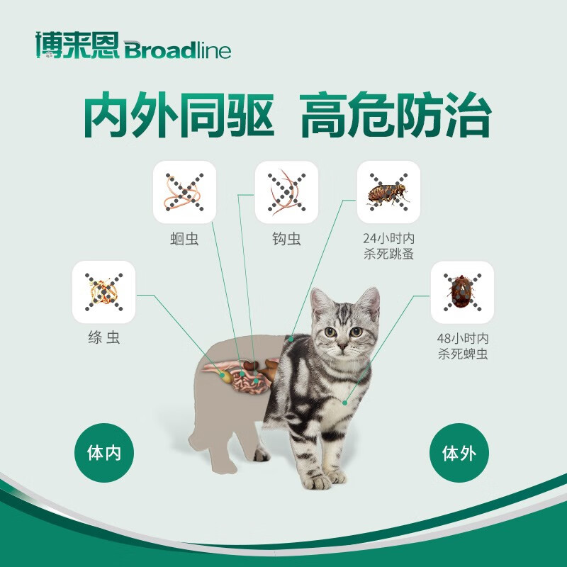 博来恩猫体内外同驱虫猫体内体外驱虫滴剂跳蚤螨虫蜱虫蛔虫药品这药对猫有危险吗？