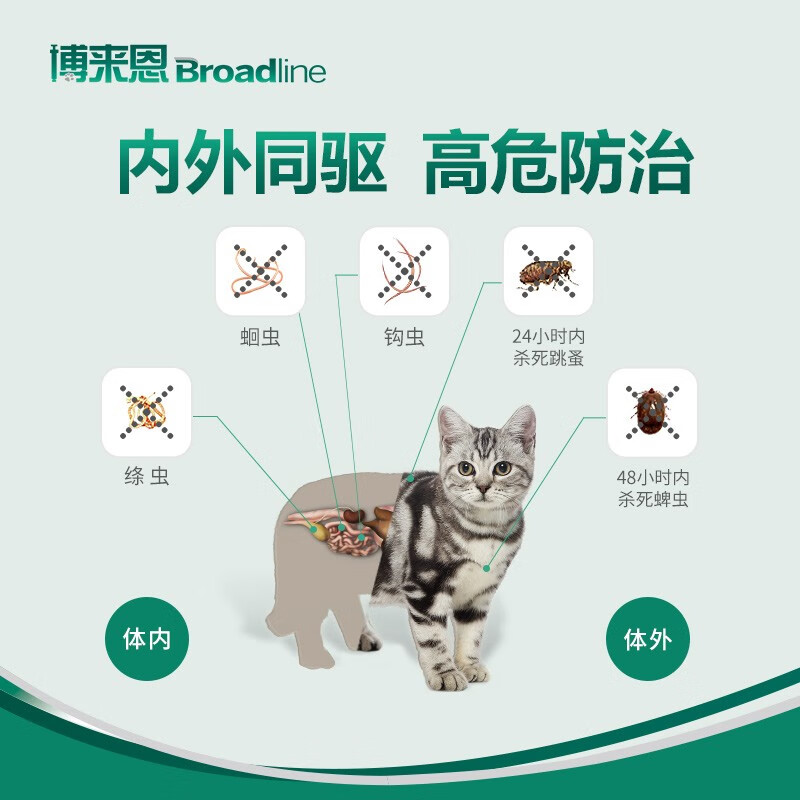 博来恩猫体内外同驱虫猫体内体外驱虫滴剂跳蚤螨虫蜱虫蛔虫药品用了博来恩猫身上很大味，大宠爱就没有，大家有遇到这种情况吗？