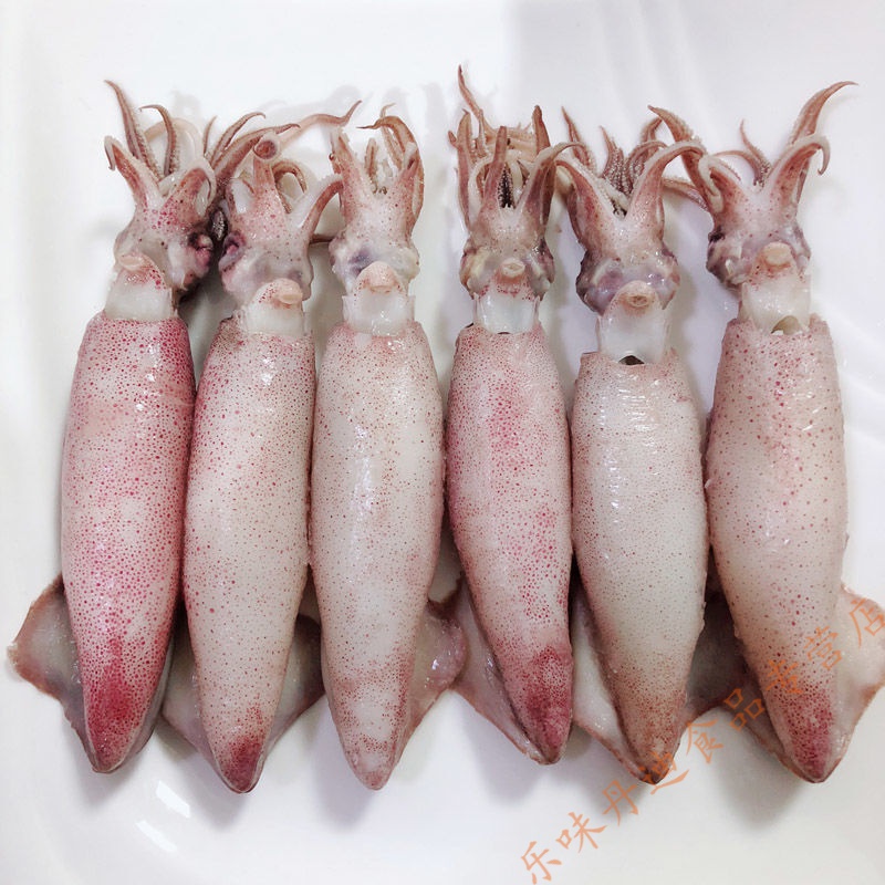 寒宁海兔满籽大小仔海鲜水产鲜活全籽乌贼海兔子 海兔满籽 海兔满籽