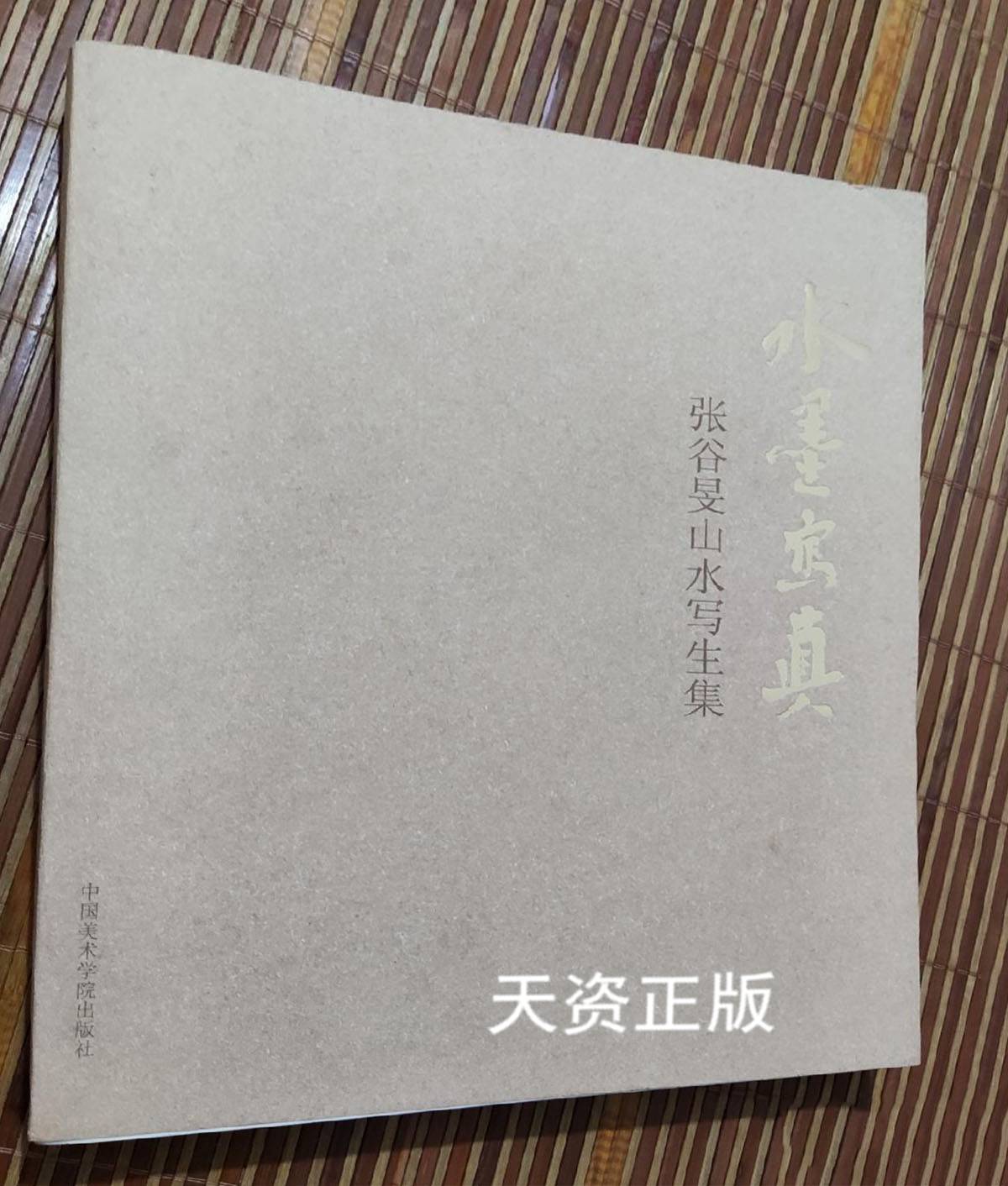 【二手9成新】水墨写真  张谷旻山水写生集 张谷旻绘 中国美术学院