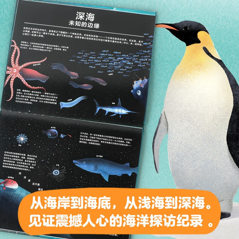 BBC星球系列（3本套）为6-12岁孩子联袂打造的科普绘本系列