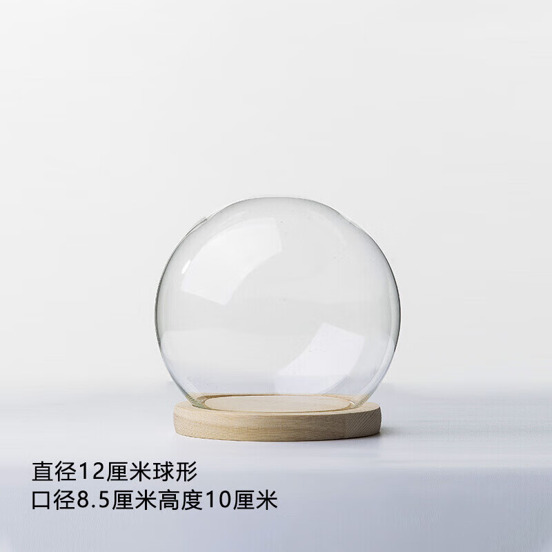 展示盒 摆件diy干花圆形防尘罩工艺品 新款球形12厘米 原木平底换底座