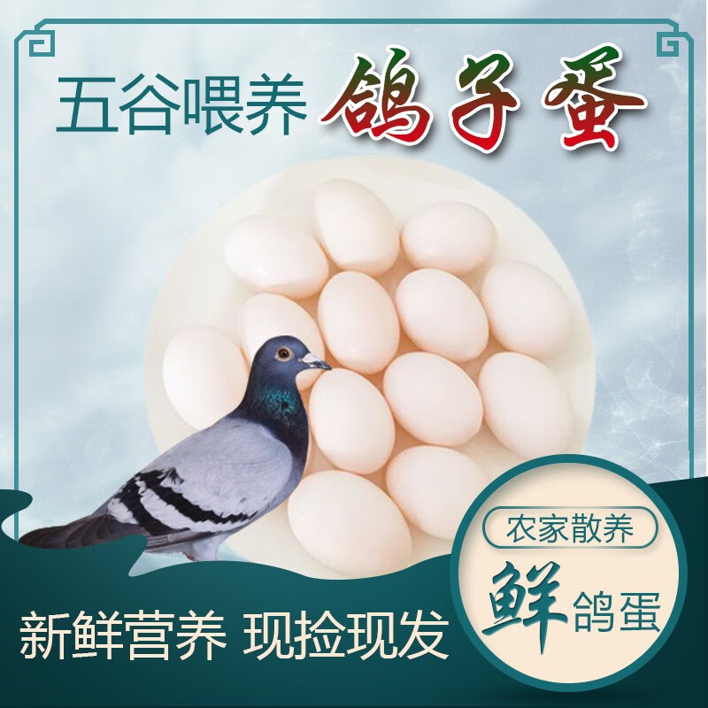 楚鄂云數(shù)新鮮鴿子蛋雜糧喂養(yǎng)農(nóng)家特產(chǎn)白鴿蛋信鴿蛋孕婦寶寶兒童食品土鴿蛋 20枚新鮮鴿子蛋(順豐)