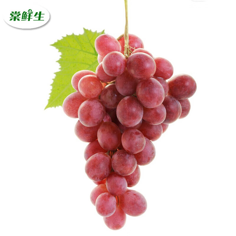 棠鲜生 精选红提子新鲜水果3斤当季时令葡萄提子