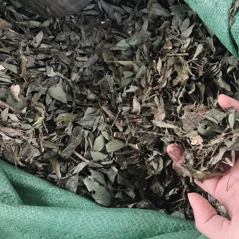 吾家余堂中药材小槐花 饿蚂蝗 饿蚂蟥 抹草 山蚂蝗 野新货5oo克 半斤
