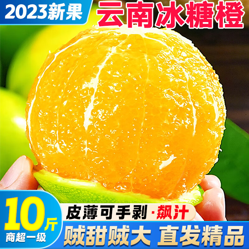 查询橙子价格最低|橙子价格比较