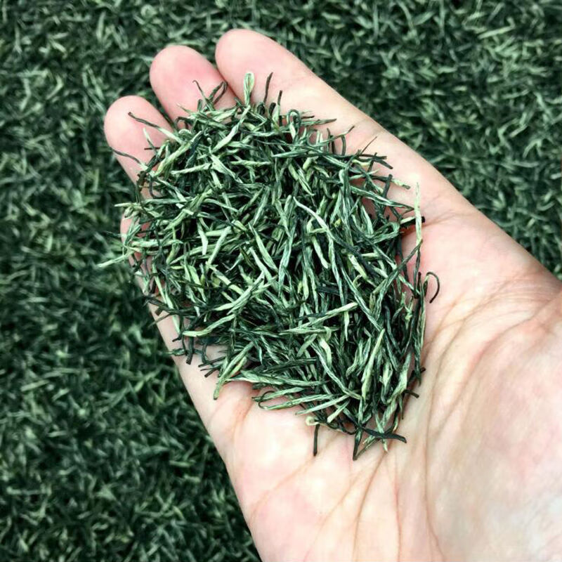 鹿色信阳毛尖茶叶2023新茶明前高档茶叶高山信阳绿茶手工嫩芽浓香春茶