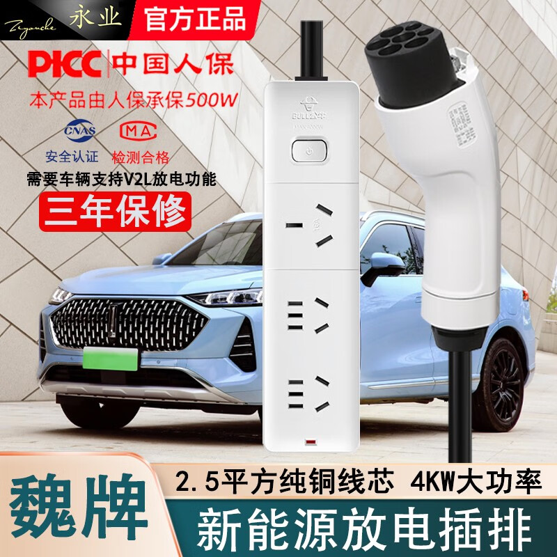 巫记魏牌放电枪摩卡DHT蓝山DHT拿铁玛奇朵高山户外露营反向取放电插排 3米长度怎么看?