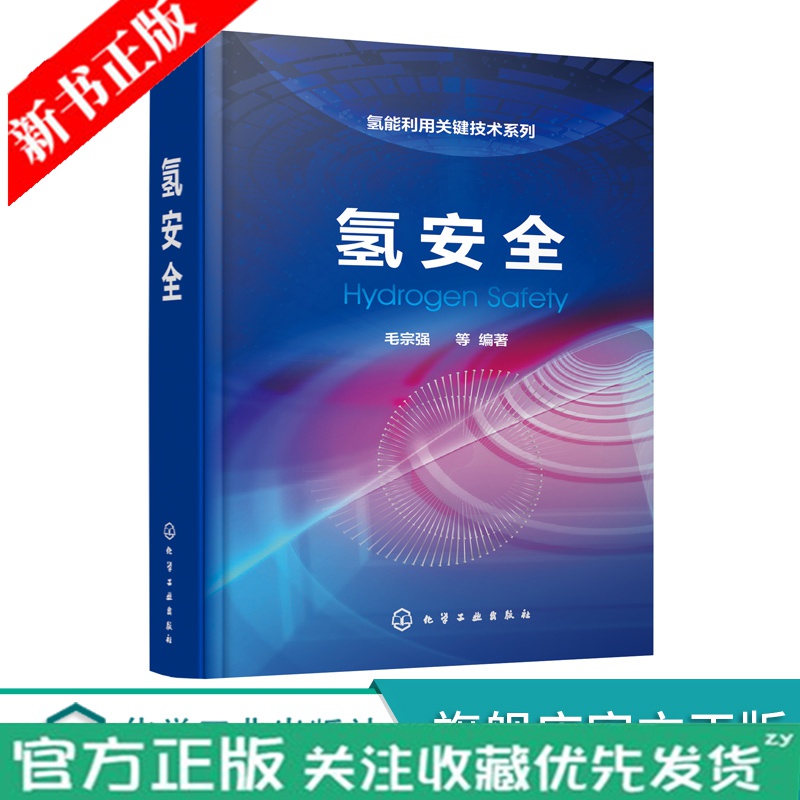 氢安全 毛宗强 氢能利用关键技术系列 