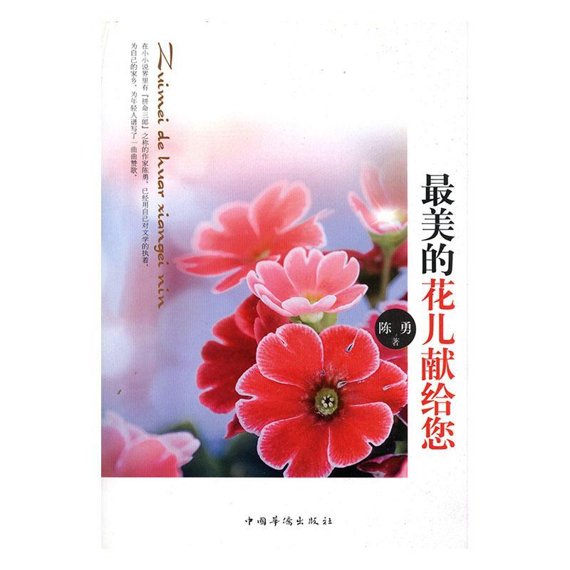 儿献给您 陈勇 青春文学 9787511334800