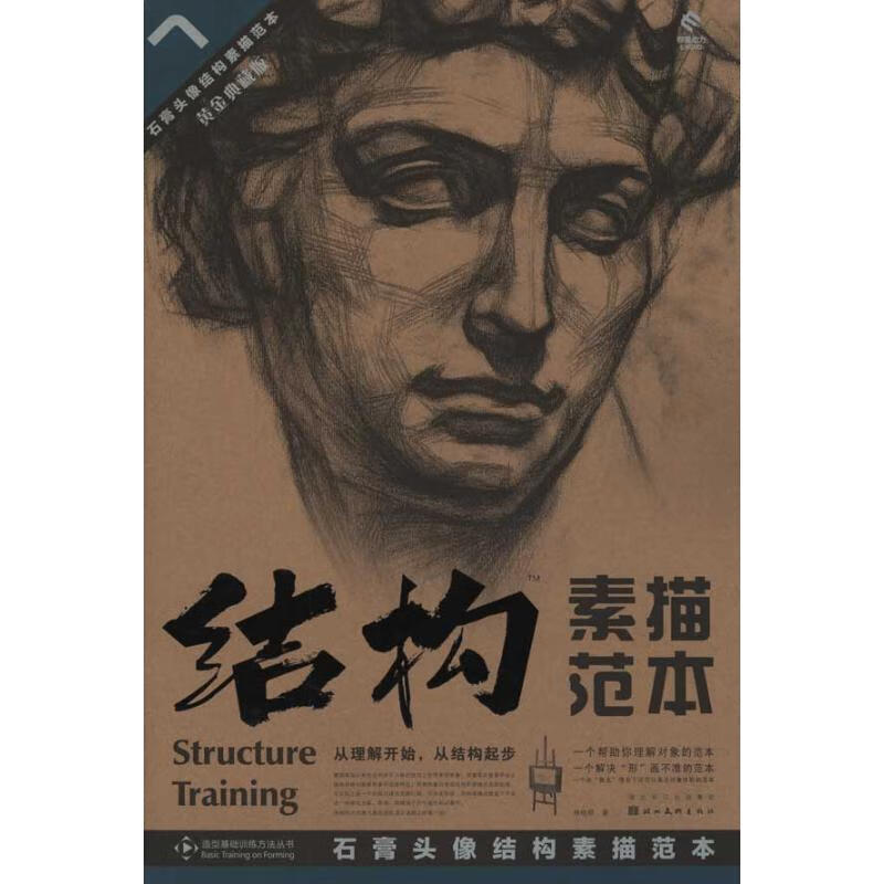 石膏头像结构素描范本 林晓明