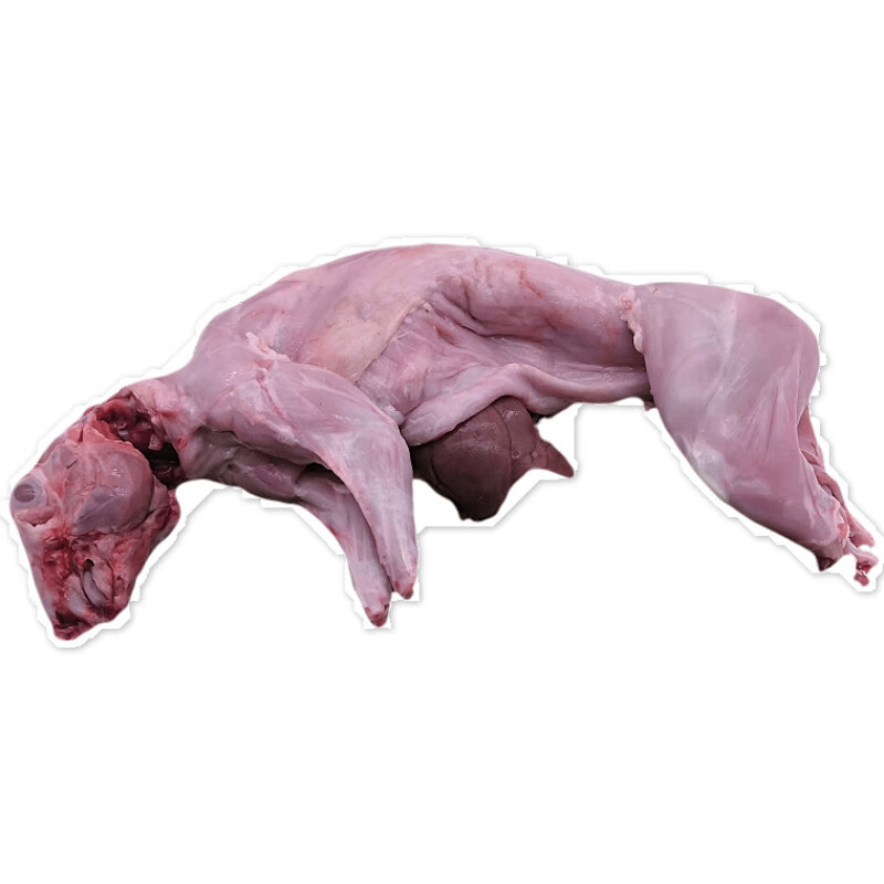 伯贤兔子肉新鲜现杀生兔肉整只速冻鲜兔肉整兔去头2斤