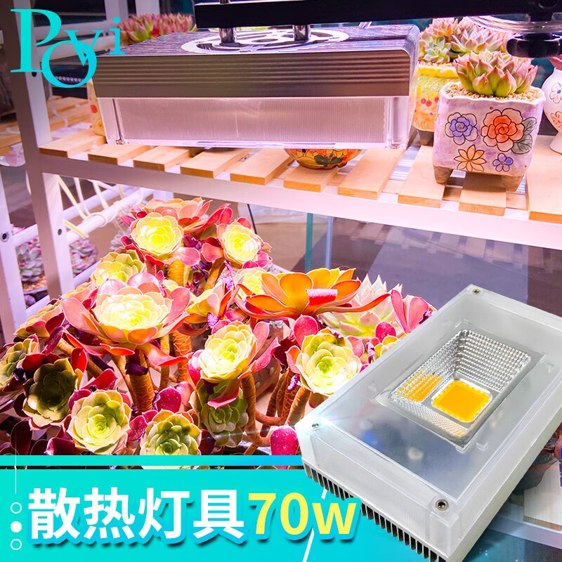 珀譽多肉補光燈全光譜高功率上色室內大棚蔬果花卉專用植物生長 70W單燈