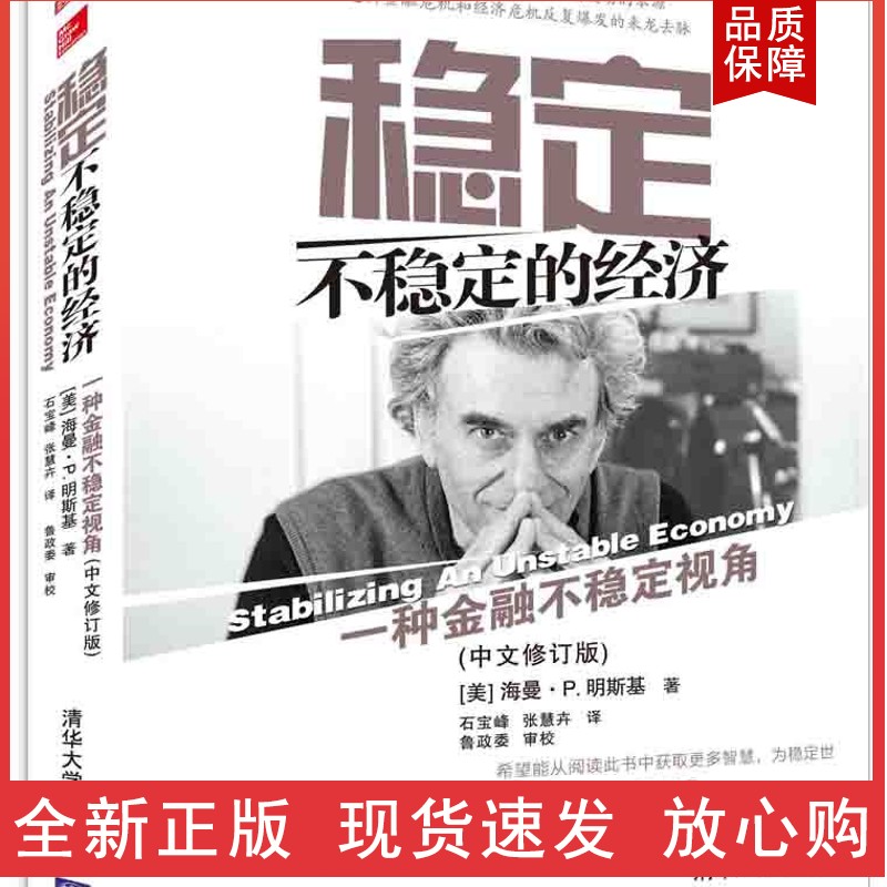 稳定不稳定的经济——一种金融不稳定视角(中文修订版) 稳定不稳定的经济
