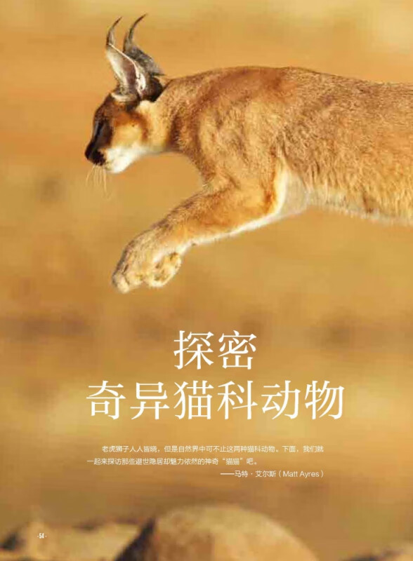 神奇动物在这里/爱因斯坦讲堂