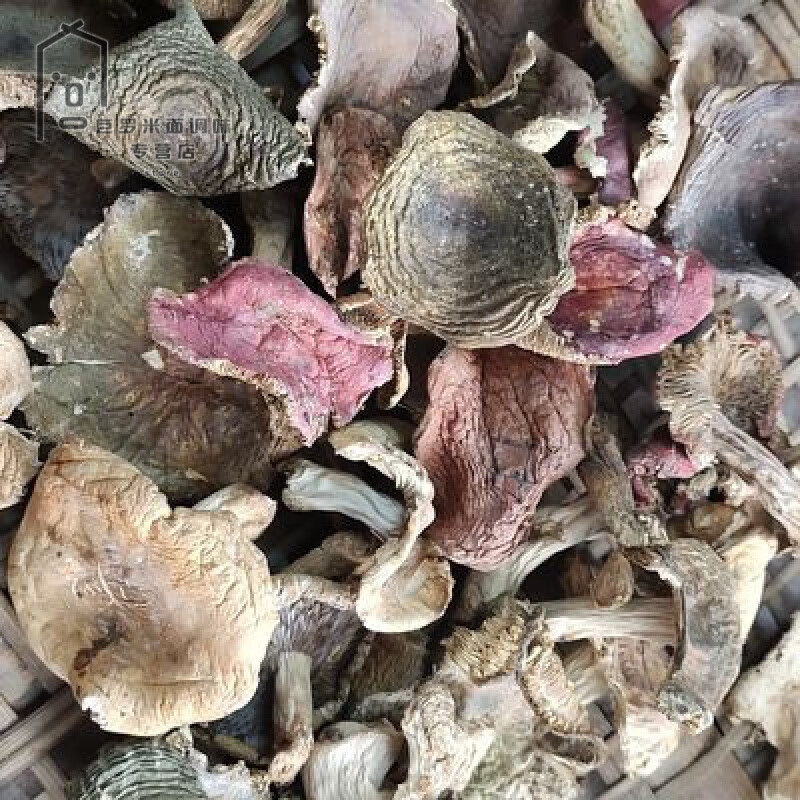 食怀湖南特产精选野生菌杂菇野蘑菇干货野菌子干菌子500g 500g