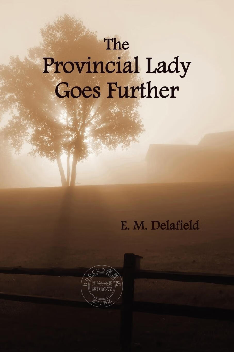 【2周达】【预售 按需印刷】the provincial lady goes further