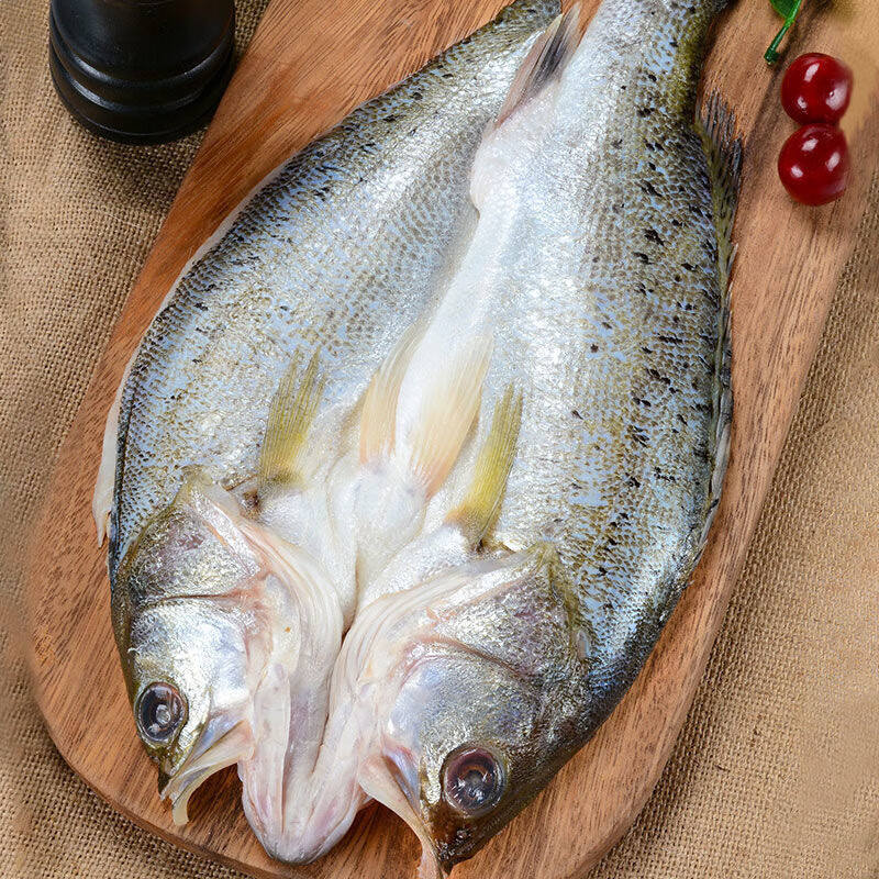 皓谦开背鲈鱼海鱼新鲜水产海鲜深海七星海鲈鱼海捕花鲈鱼 400g * 3