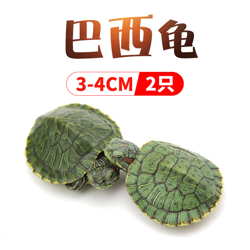 如何查看京东异宠活体商品历史价格|异宠活体价格走势