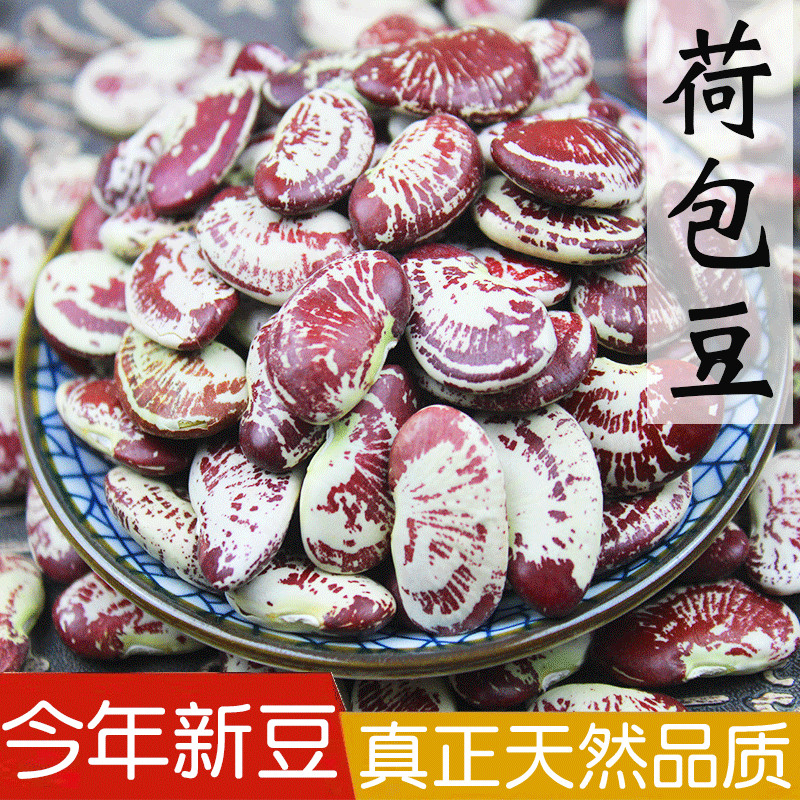 农家荷包豆2斤 花豆大腰子豆 皇帝豆 状元豆 肾豆  斑马豆