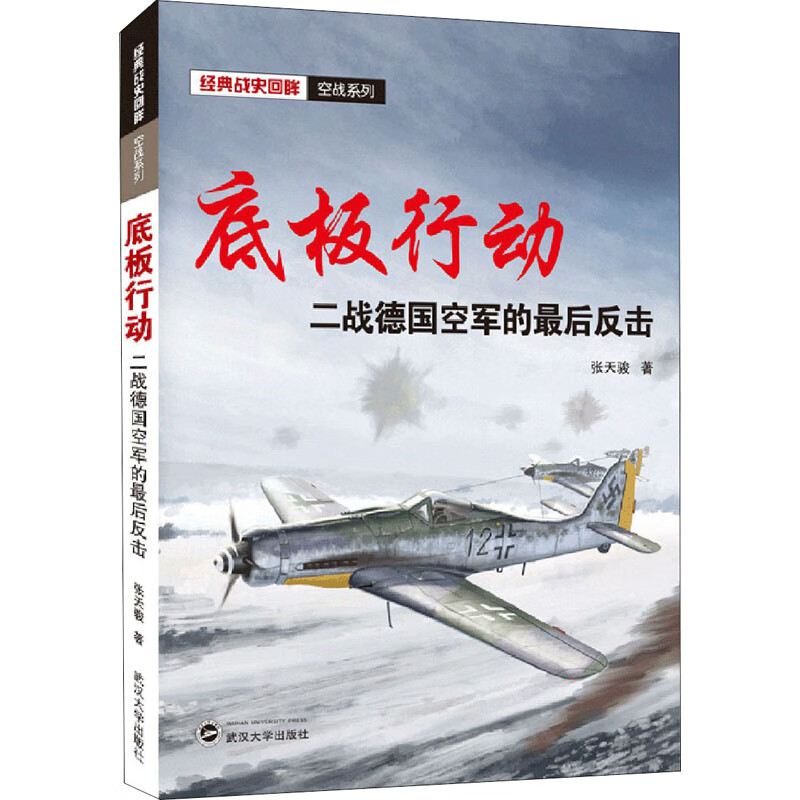 底板行动 二战德国空军的最后反击