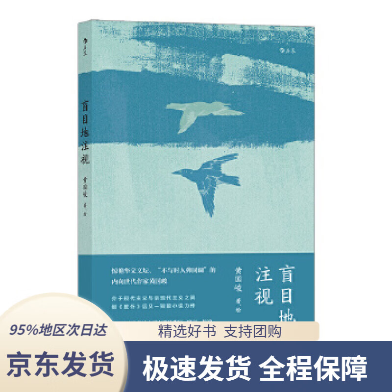 【 京东配送 支持团购】盲目地注视黄国峻后浪中国友谊出版公司9787505749313