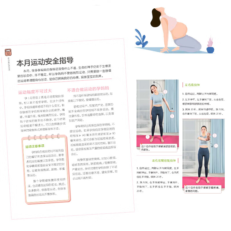 瘦孕真的很容易 王琪 编 书籍