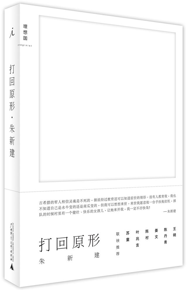 正版 打回原形 朱新建 广西师范大学出版社