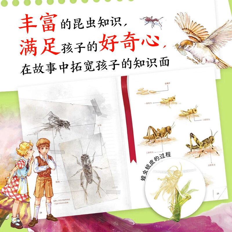 昆虫记·注音科学探索版：全10册详情图