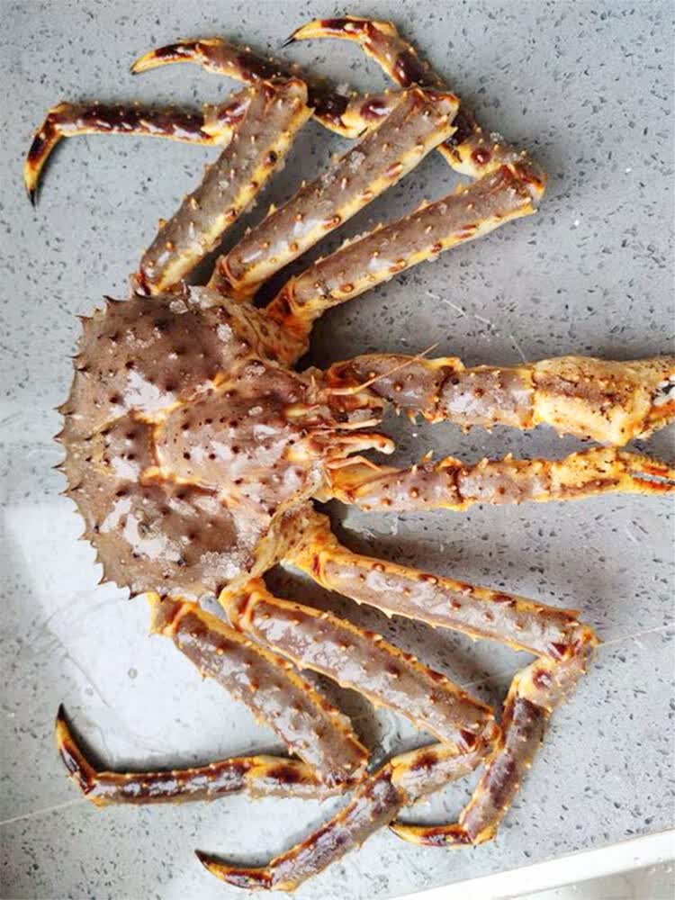 鲜活帝王蟹俄罗斯新鲜海鲜水产特超大龙虾10斤皇霸王长脚蜘蛛螃蟹 3斤