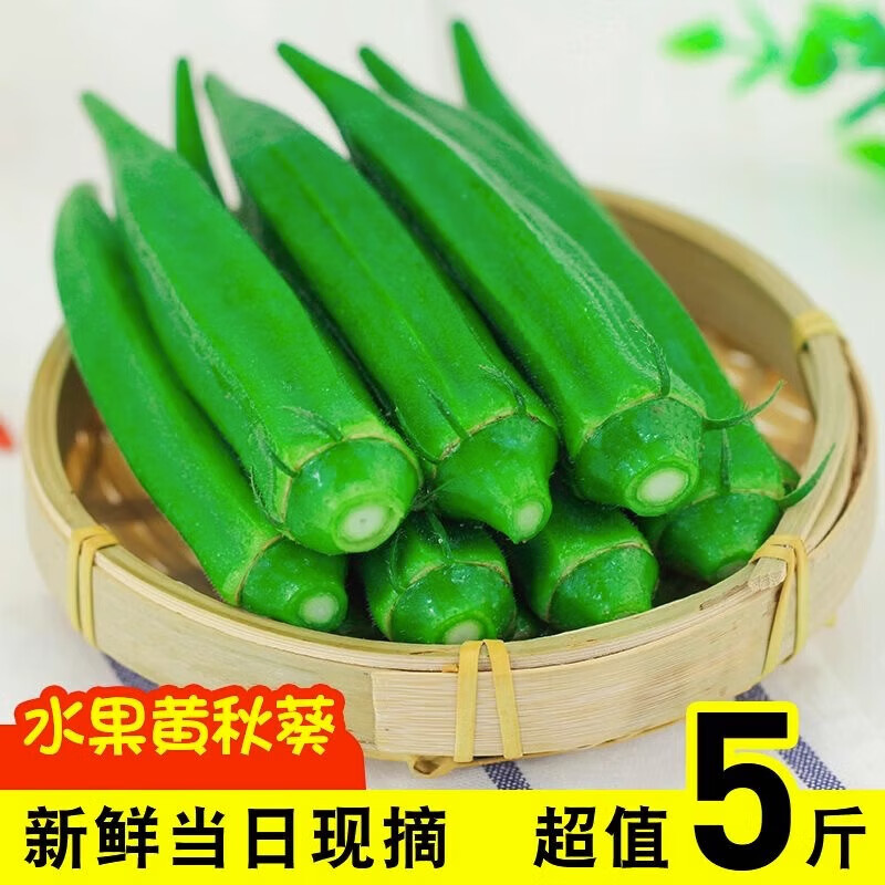 皓謙 新鮮秋葵農(nóng)家自種鮮嫩蔬菜水果黃秋葵 六角豆 秋葵1斤