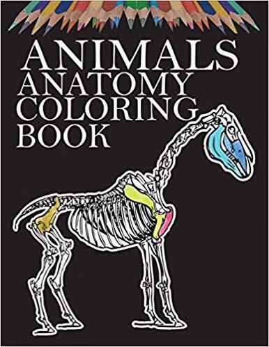 Animals Anatomy Colo