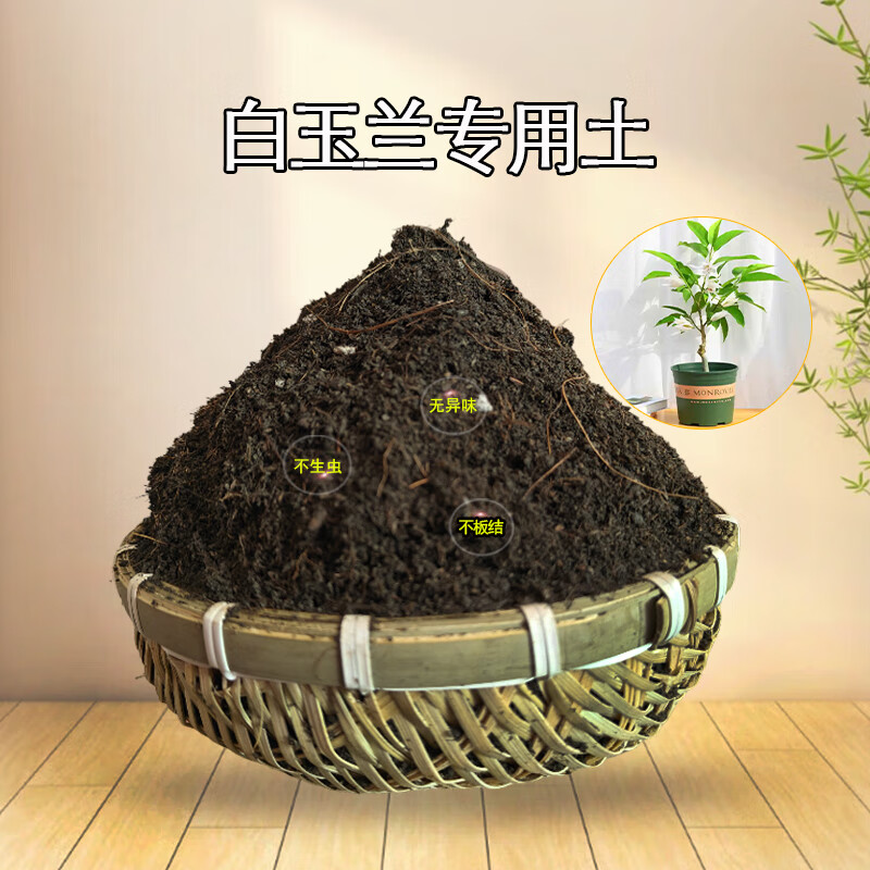 白玉兰专用配方土5斤-体验装