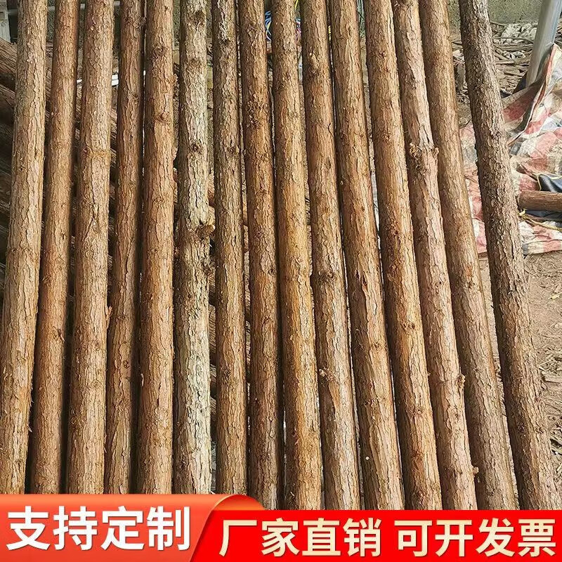 旭杉斯园林河道围栏木桩树木支撑杆松木杨木杉木杆子大树防风绿化苗木
