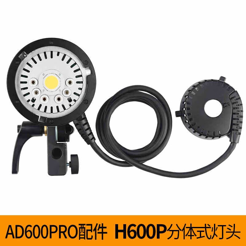 神牛（Godox） AD600Pro外拍灯摄影闪光灯电池灯管套装包电源适配器备用附件 H600P分体式便携灯 官方标配