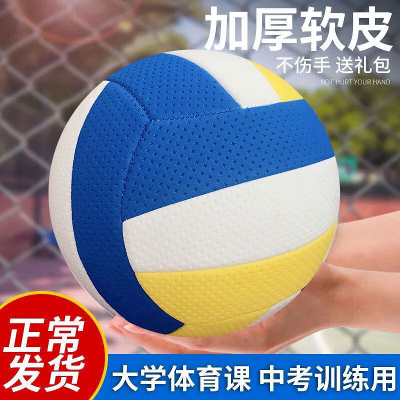充气软式排球5号中学生用PU沙滩排球考试 中学生练习5号黄蓝白排球网+针
