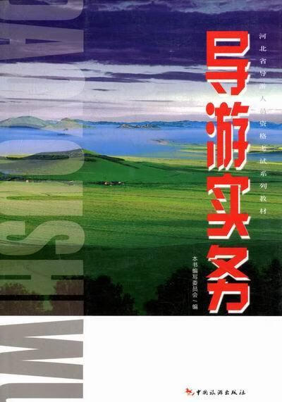 导游实务 付岗 旅游/地图 9787503242243