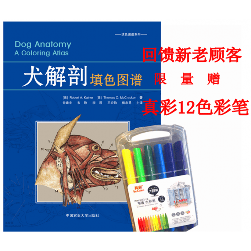 犬解剖填色图谱 Robert A. Kainer 等 著 常建宇 等 译 犬解剖书籍 解剖书