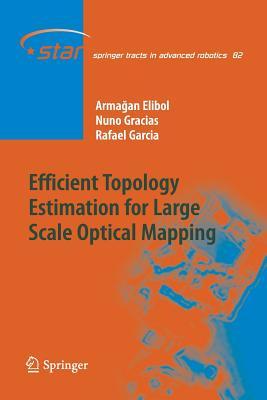 预订Efficient Topology Estimation for Large Scale Op