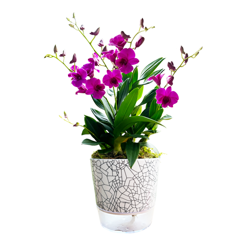 ���w�m������īʯ�������Դ����������� ���粻�����������Դͷֱ��