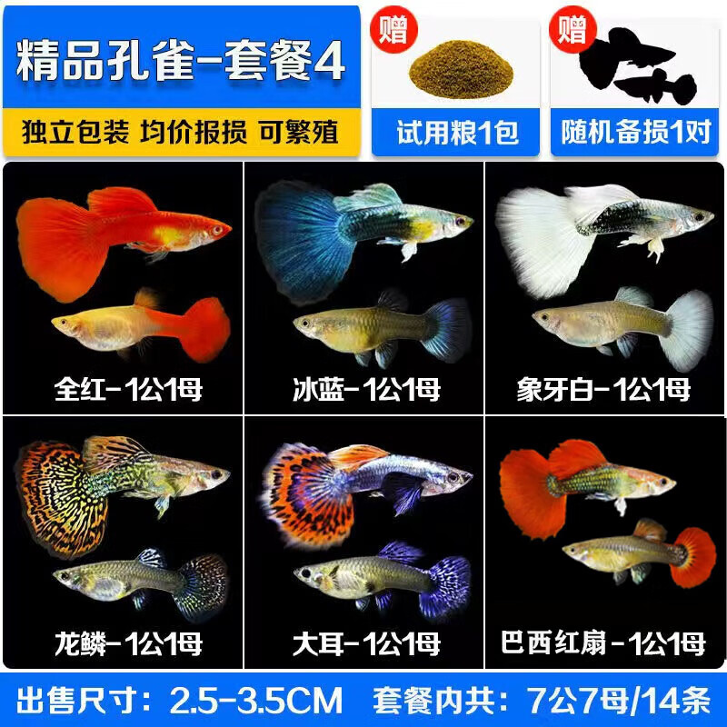 哪里可以看到京东水族活体商品的历史价格|水族活体价格走势