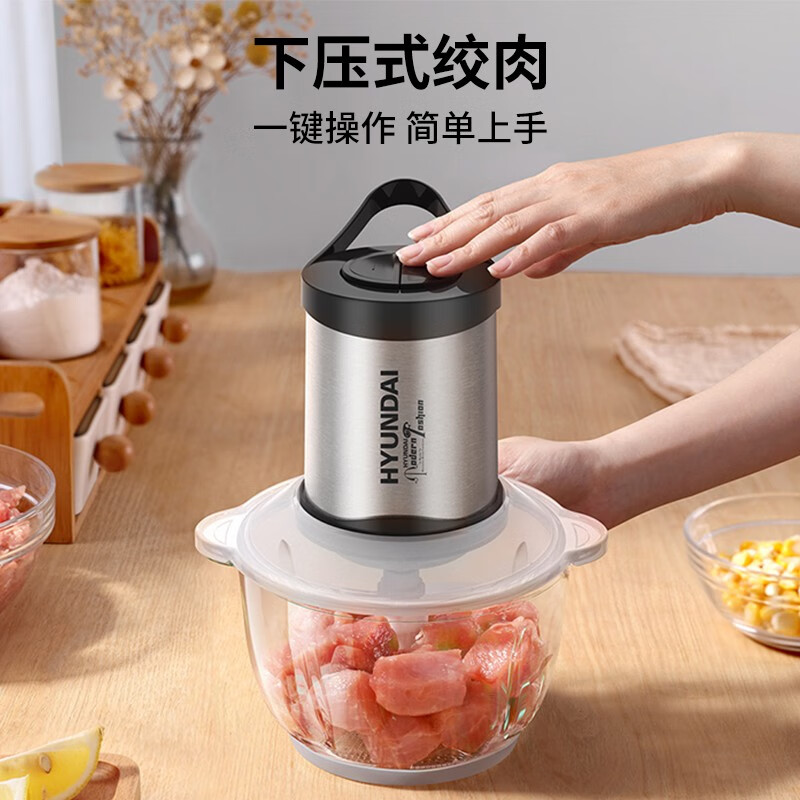 HYUNDAI韩国绞肉机家用 电动绞馅碎肉机 多功能料理机 搅拌打肉饺子肉馅蒜蓉机 不锈钢搅肉机 性价比【玻璃碗+四叶刀头】 2L