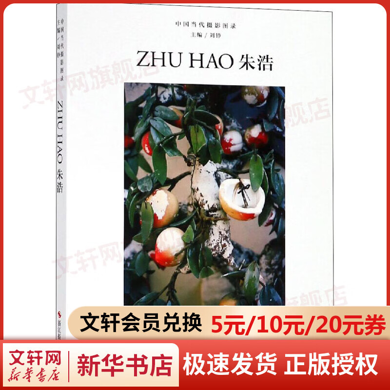 中国当代摄影图录 朱浩 图书