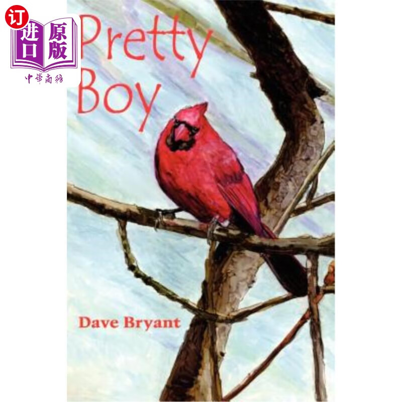 海外直订pretty boy 帅哥