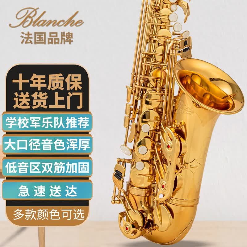 Blanche萨克斯管乐器 降e调中音萨克斯风 初学者法国品牌 管乐队老师推荐 BAS-580电泳金加大口径双筋加固怎么样,好用不?