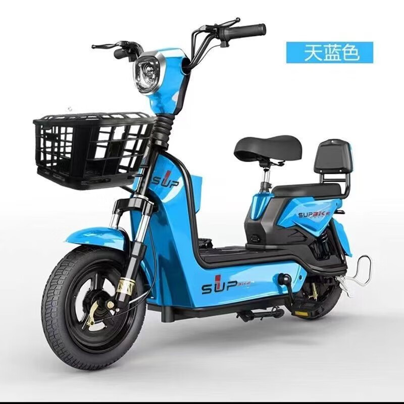 工厂直销新国标新款成人两轮可上牌电动自行车双人代步便宜电瓶车 天